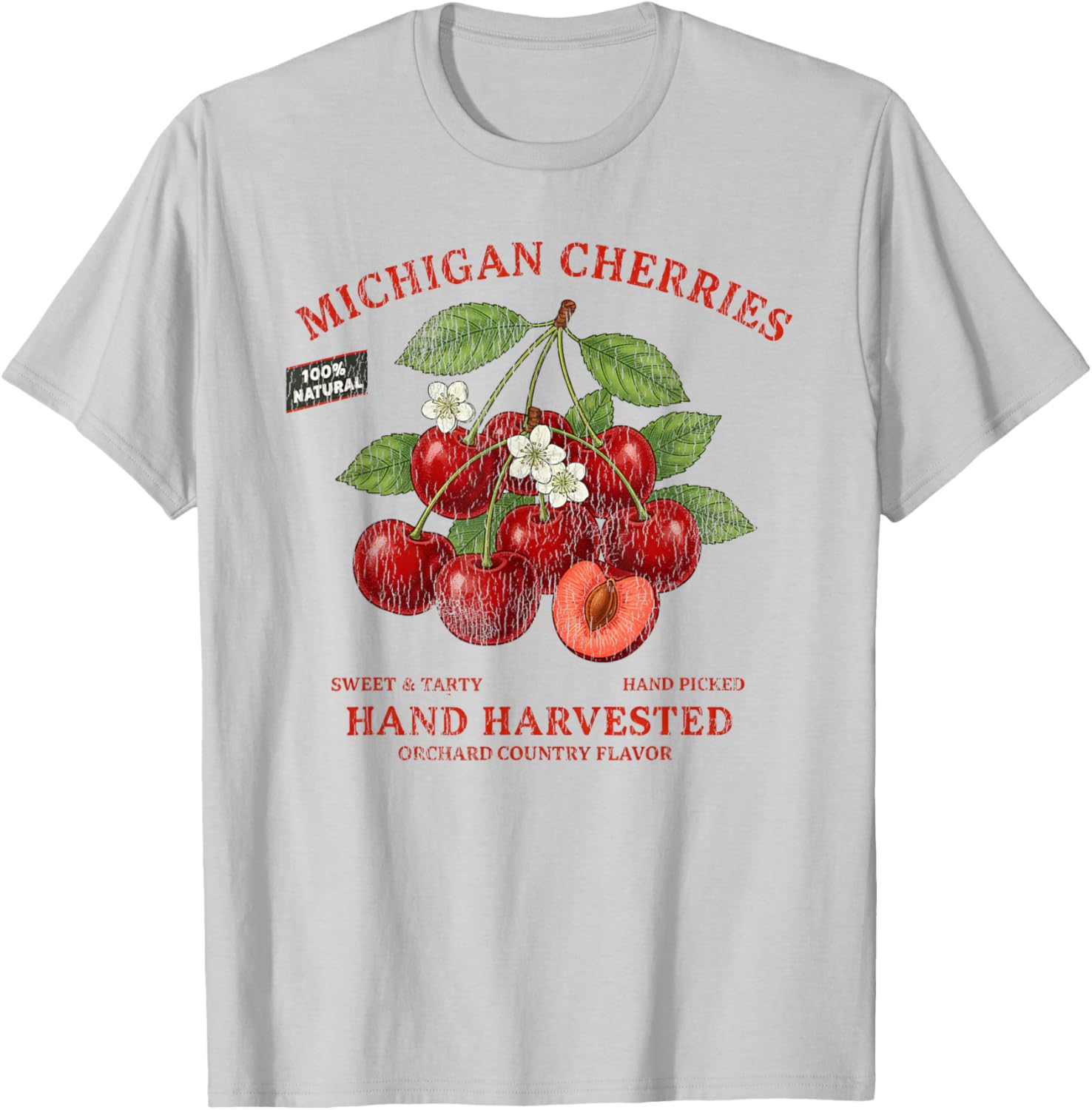 Michigan Cherries Retro Fruit Label State Fruit Distressed T-Shirt - T-Shirt | Ash