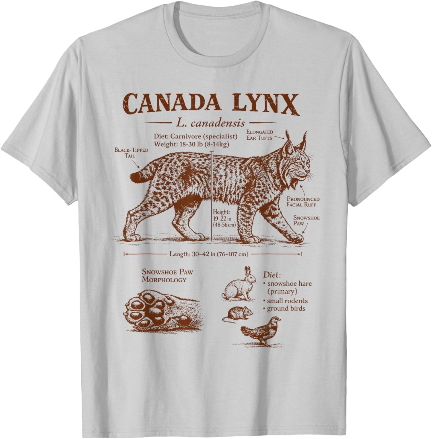 Canada Lynx Anatomy Wildlife Wild Animal Lover Zoologist T-Shirt - T-Shirt | Ash