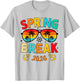 Aesthetic Spring Break 2026 Family Vacation Squad Graphic T-Shirt - T-Shirt | Ash