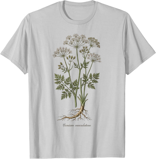 Hemlock Vintage Botanical Illustration T-Shirt - T-Shirt | Ash