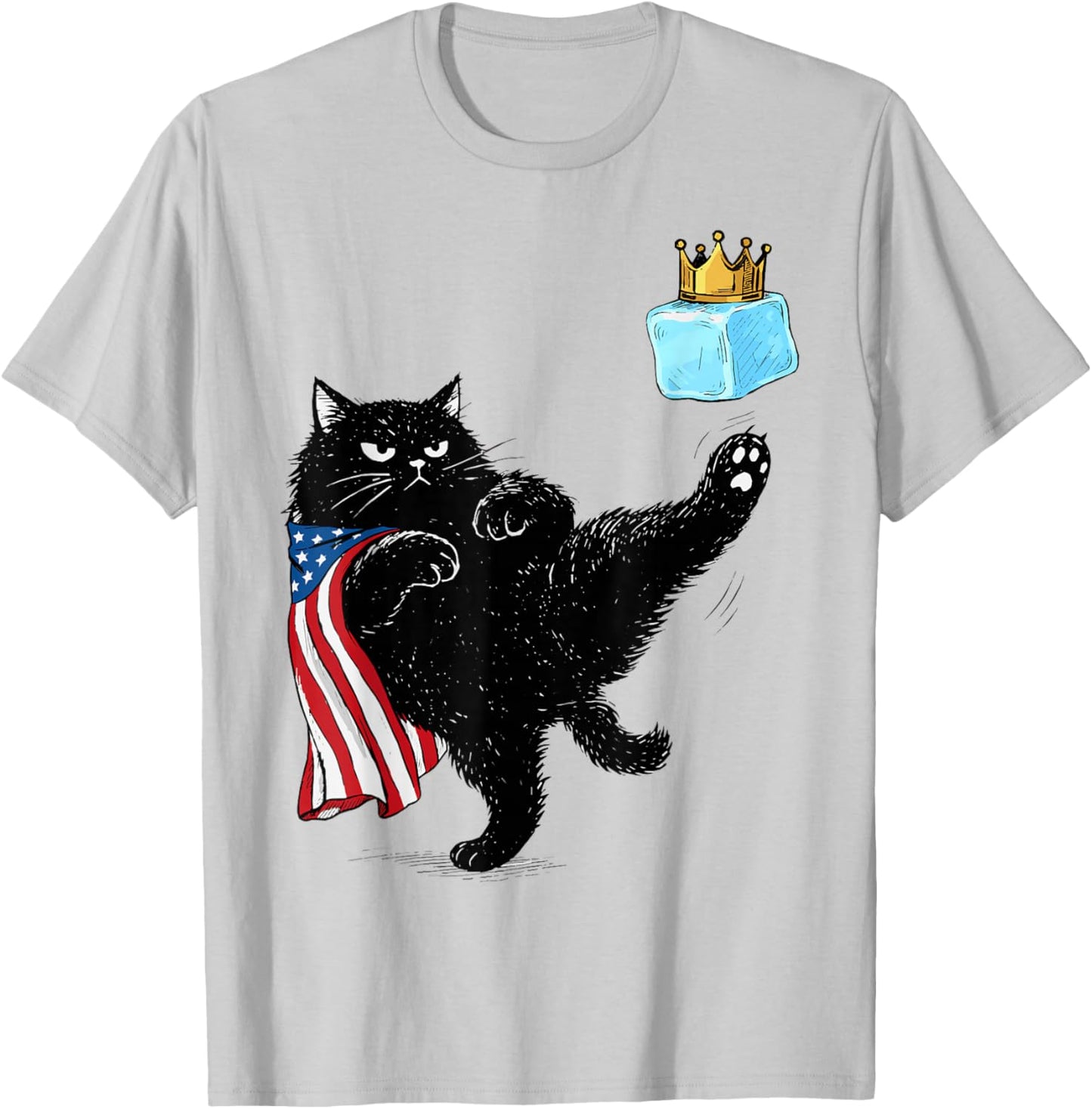 Abolish ICE Cat Resist T-Shirt - T-Shirt | Ash