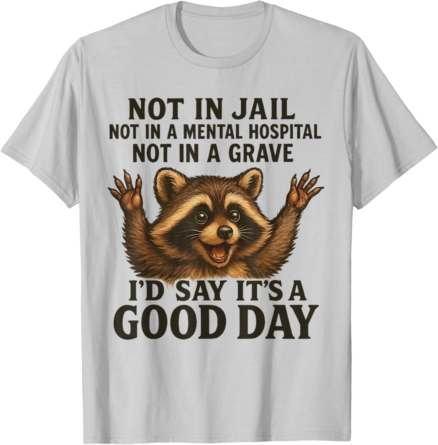 Raccoon Not in Jail Not in A Mental Hospital Funny Saying T-Shirt - T-Shirt | Ash