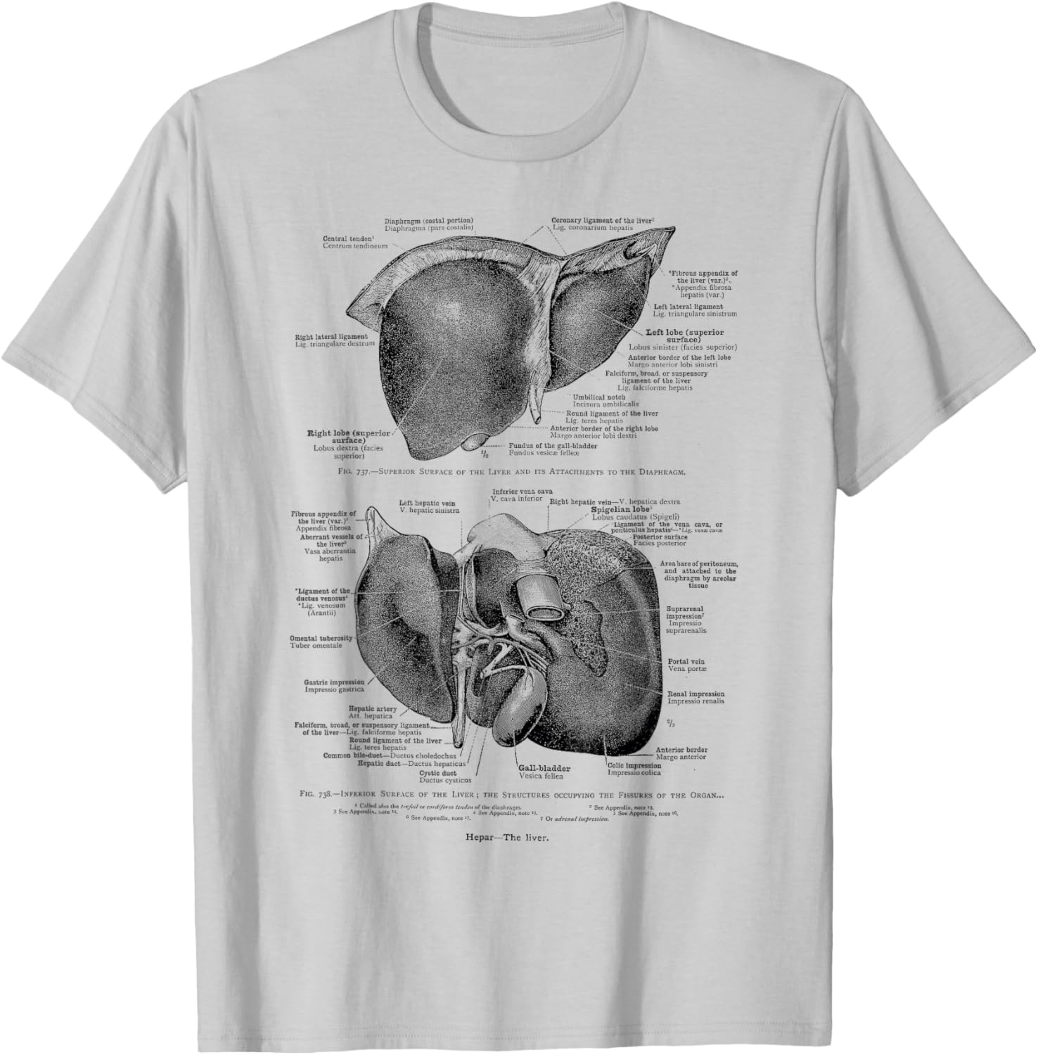 Human Liver Vintage Anatomy Anatomical Liver T-Shirt - T-Shirt | Ash
