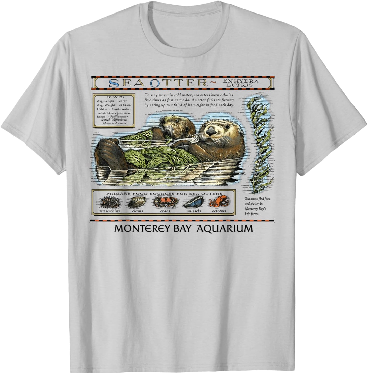 Vintage Sea Otters T-Shirt - T-Shirt | Ash