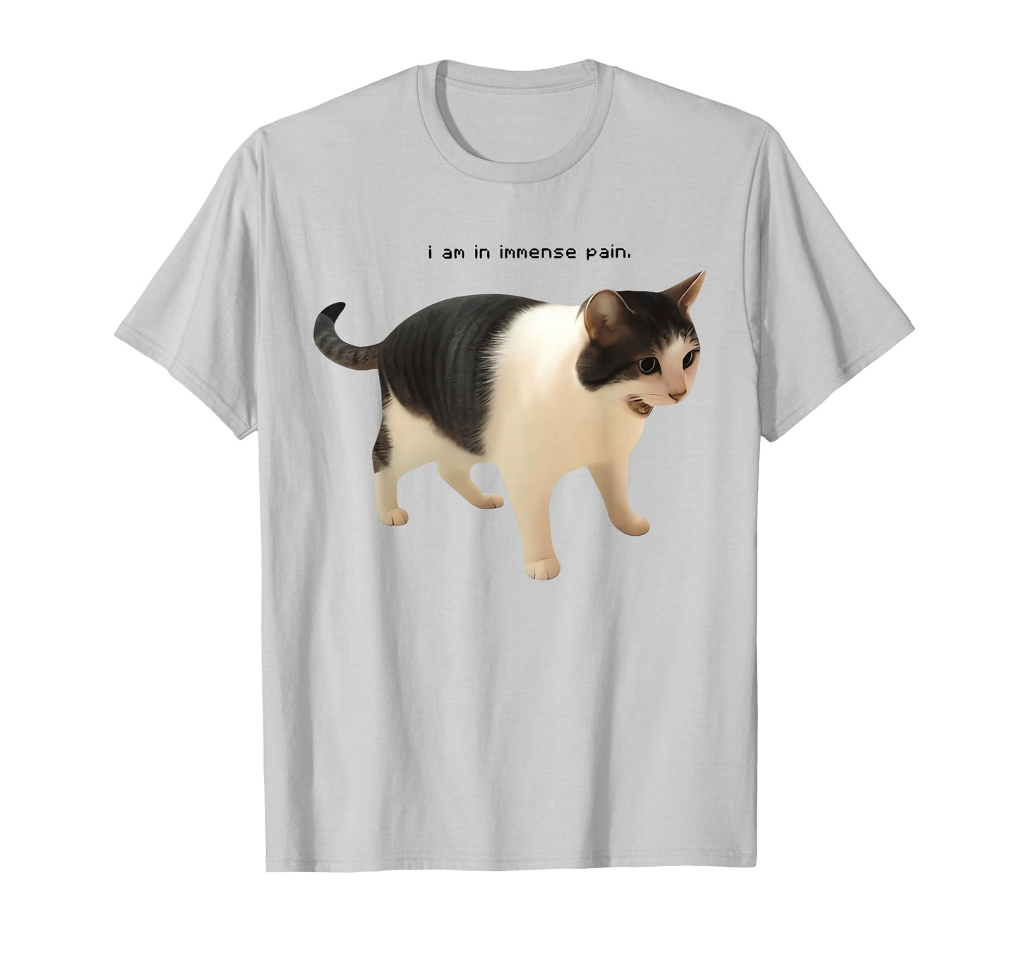 I Am in Immense Pain Funny Cat Meme Quote T-Shirt