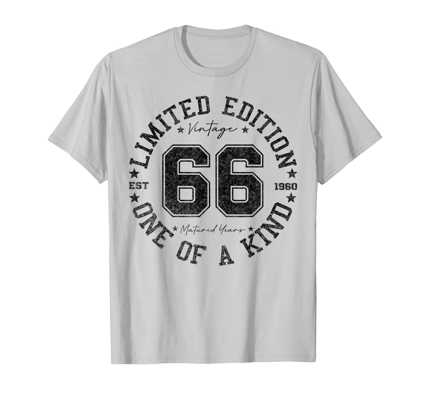 66 Year Old Gifts Vintage 1960 Limited Edition 66th Birthday T-Shirt