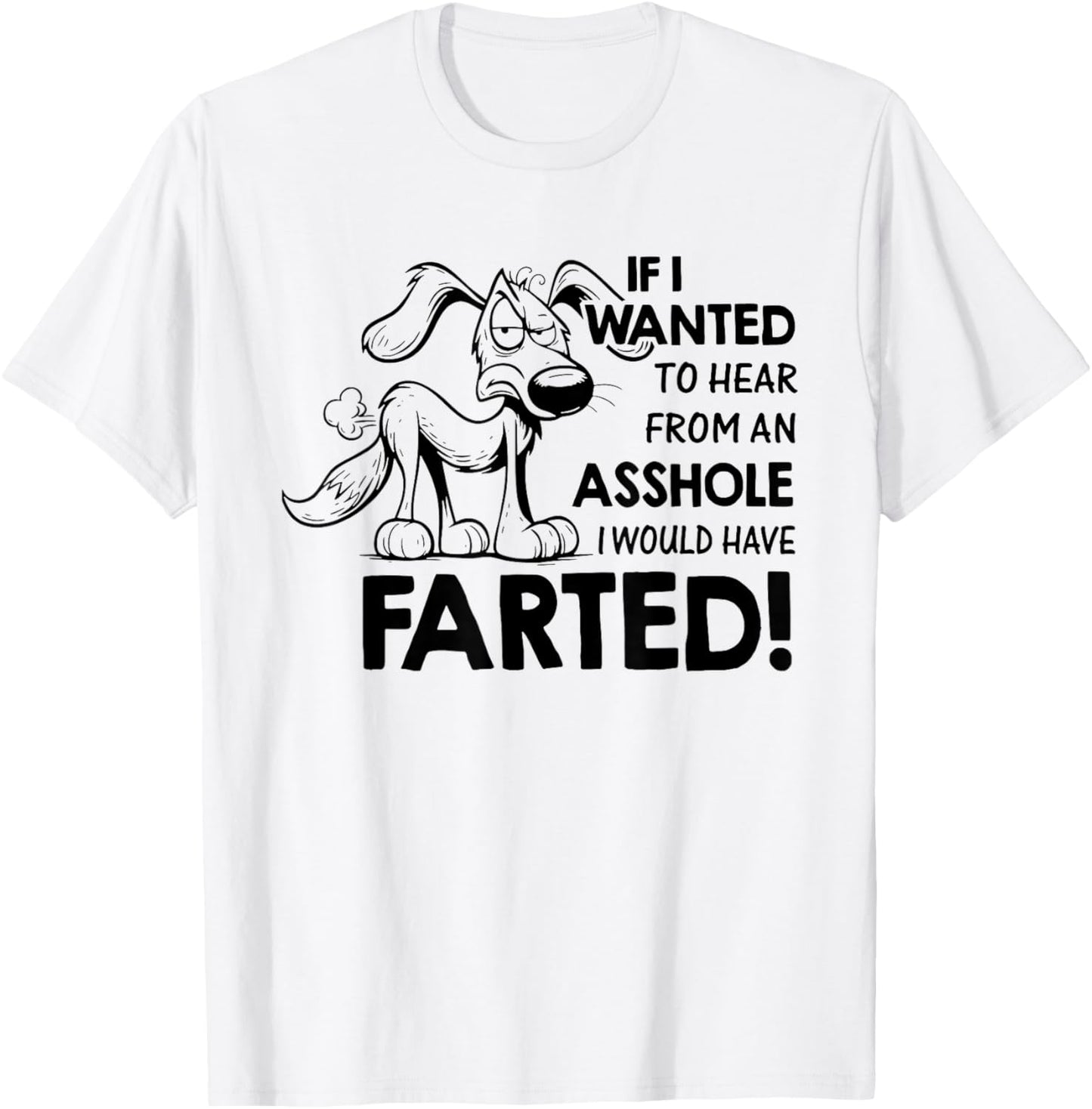 If I Wanted to Hear from an Asshole I Would Have Farted T-Shirt - T-Shirt | White