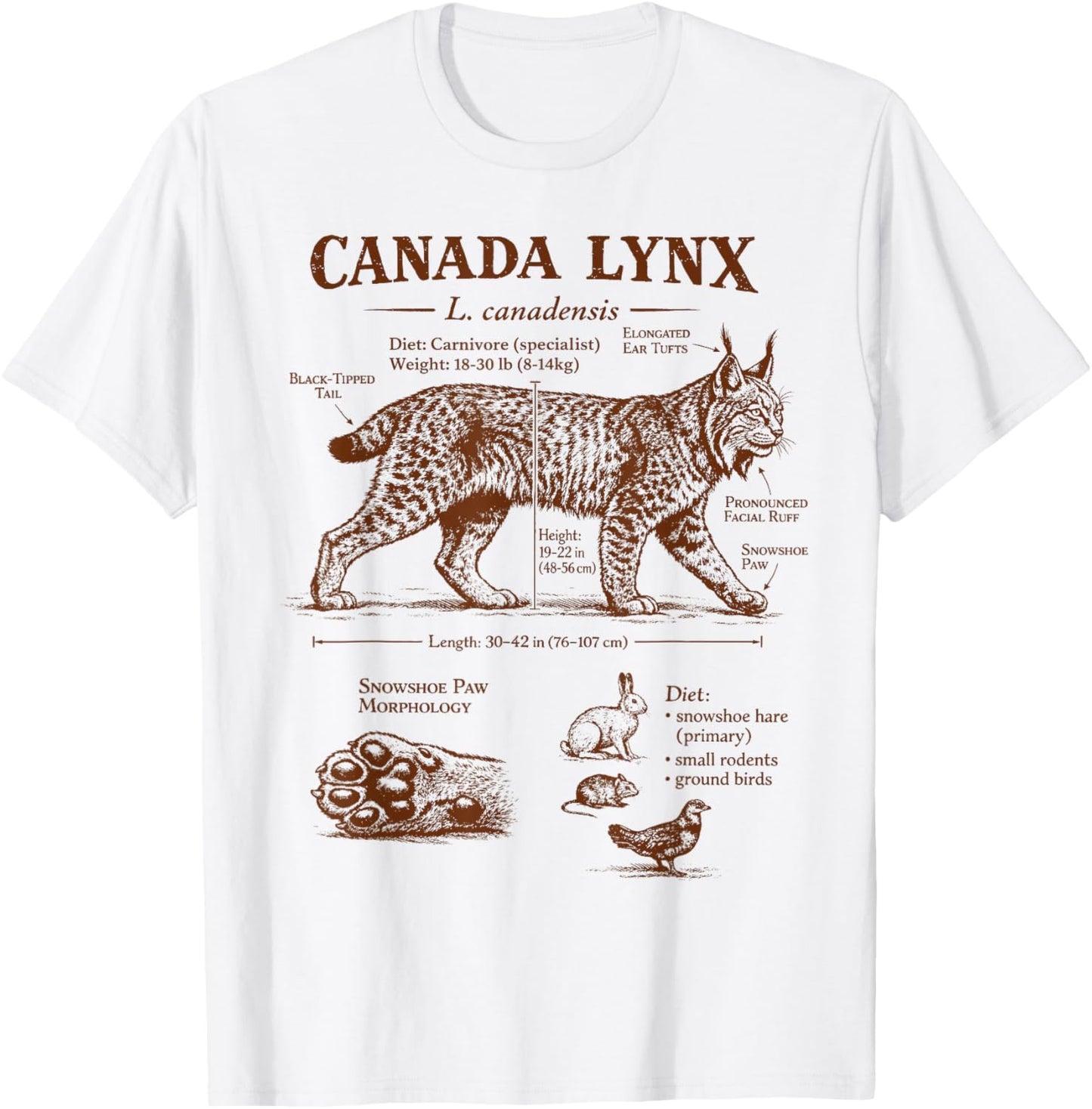 Canada Lynx Anatomy Wildlife Wild Animal Lover Zoologist T-Shirt - T-Shirt | White