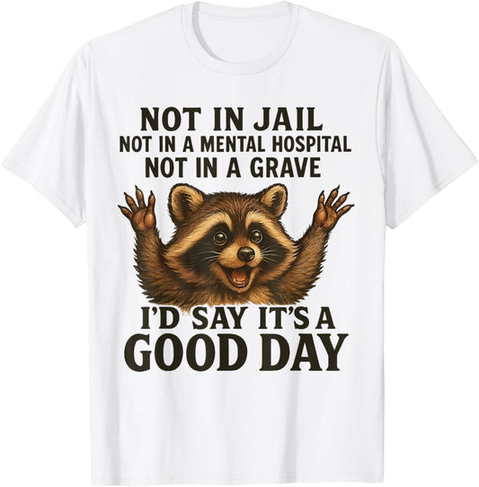 Raccoon Not in Jail Not in A Mental Hospital Funny Saying T-Shirt - T-Shirt | White