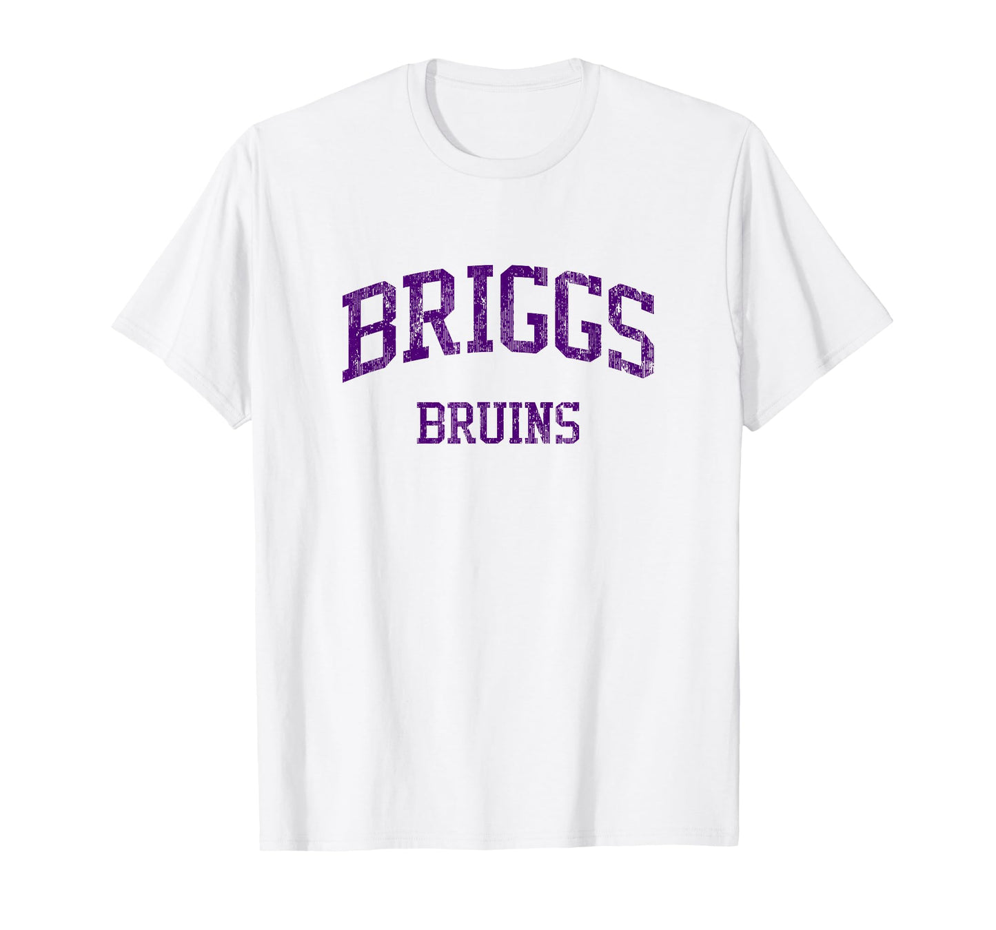 Briggs High School HS Columbus OH Vintage Sports T-Shirt