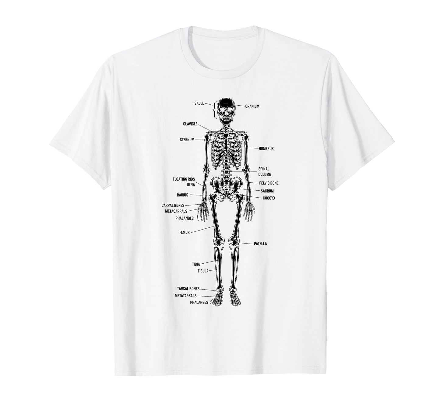 Skeleton Bones Anatomy Detailed Study Illustration T-Shirt