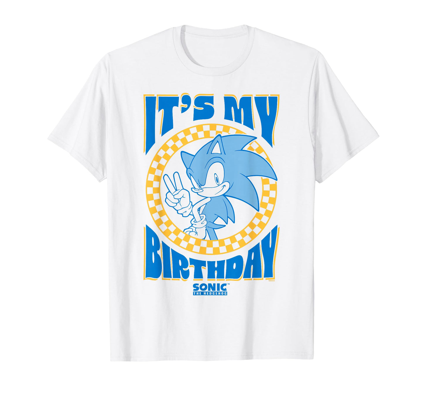 Sonic The Hedgehog It's My Birthday Cool Sonic Pose Poster T-Shirt