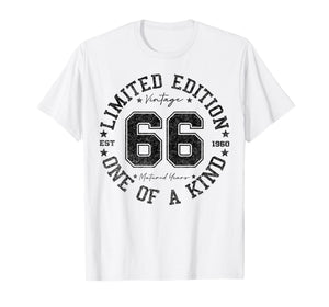66 Year Old Gifts Vintage 1960 Limited Edition 66th Birthday T-Shirt