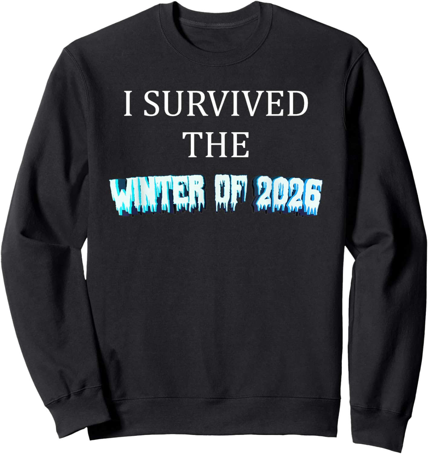 I Survived The Winter of 2026 Blizzard Frozen Snow Storm Sweatshirt - Sweatshirt | Black