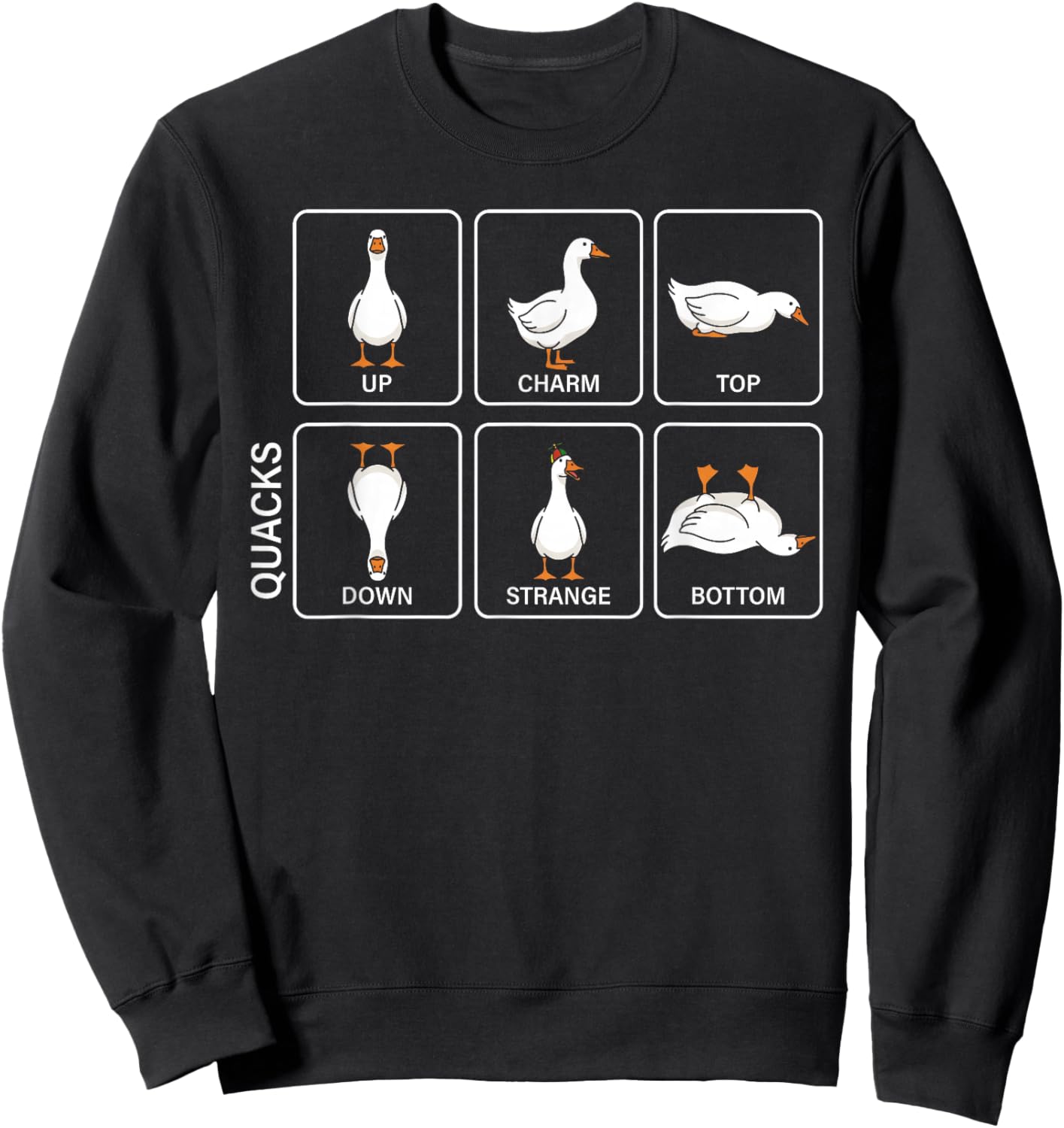 Funny Physics Pun Duck Quacks Meme Cute Goose Graphic Sweatshirt - Sweatshirt | Black