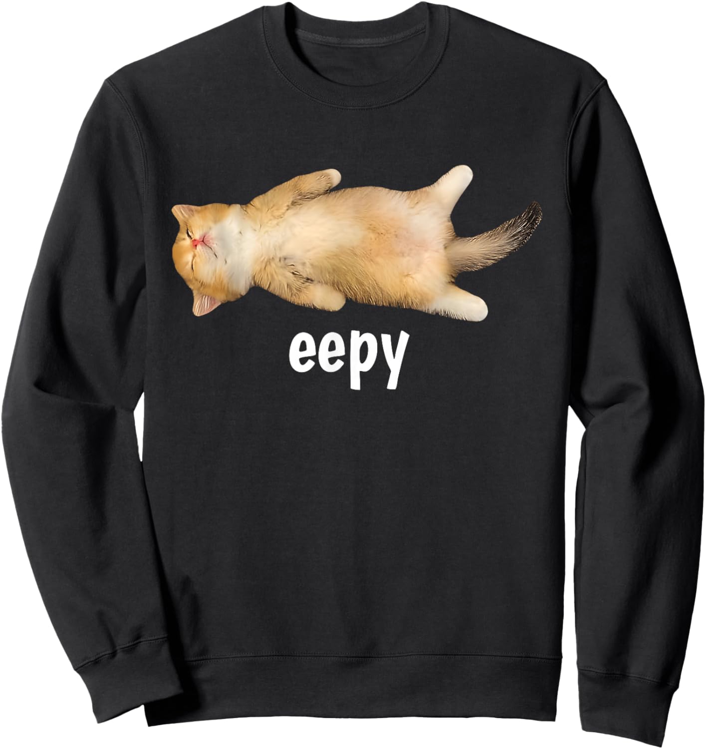 Eepy Cat Meme Funny Sleepy Cat Viral Gen Z Sarcastic Humor Sweatshirt - Sweatshirt | Black