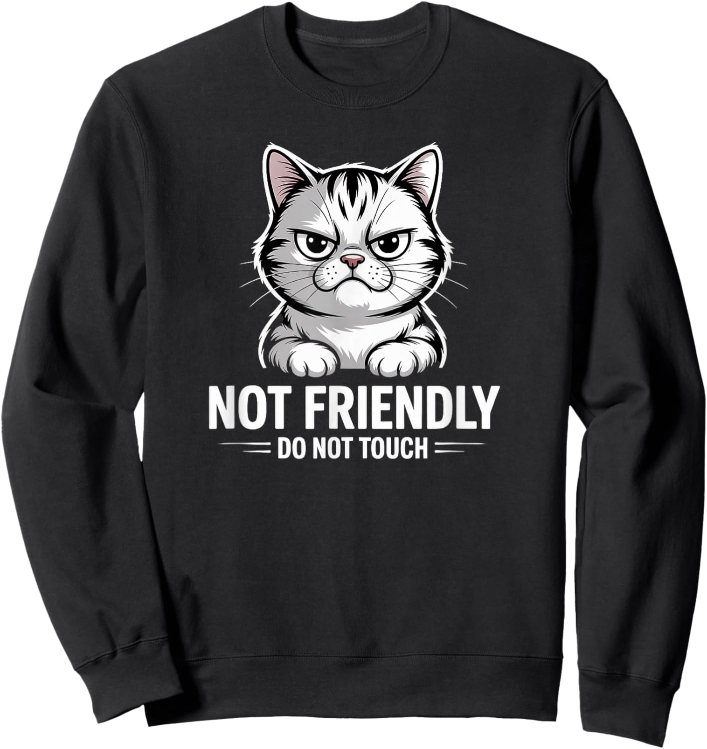 Sarcastic Cat Not Friendly, Do Not Touch Funny Cat Lover's Sweatshirt - Sweatshirt | Black