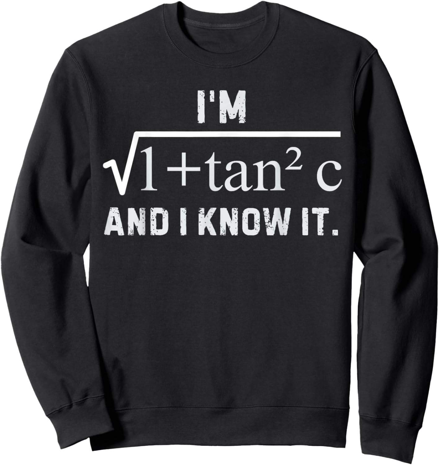 I'm Sec C and I Know It - Funny Sexy Math Humor Sweatshirt - Sweatshirt | Black