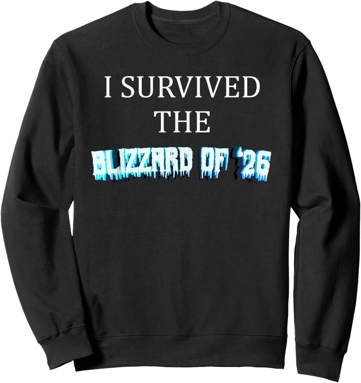 I Survived The Blizzard of 2026 Frozen Snow Storm Sweatshirt - Sweatshirt | Black