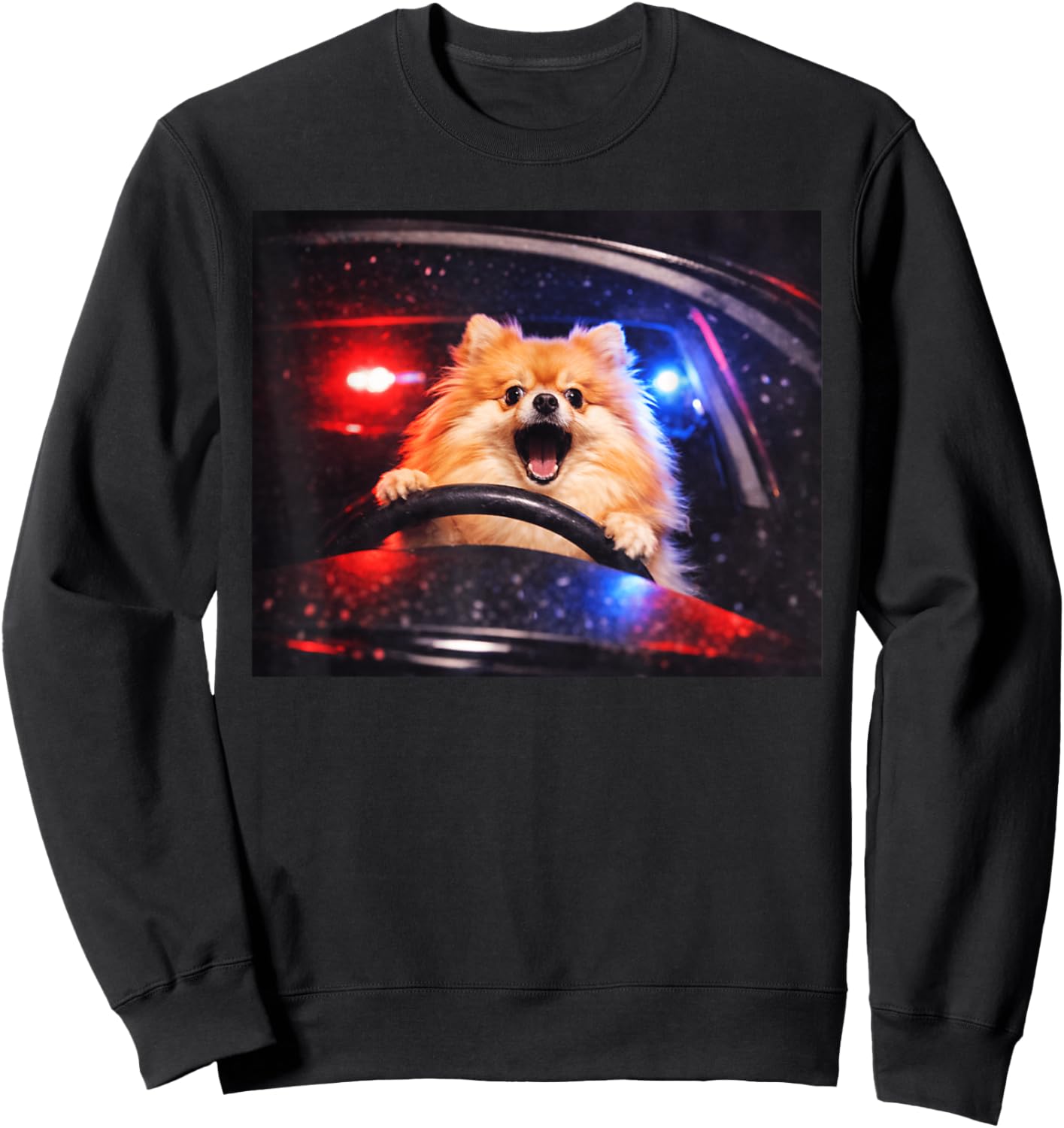 Humor Sweatshirt - Sweatshirt | Black