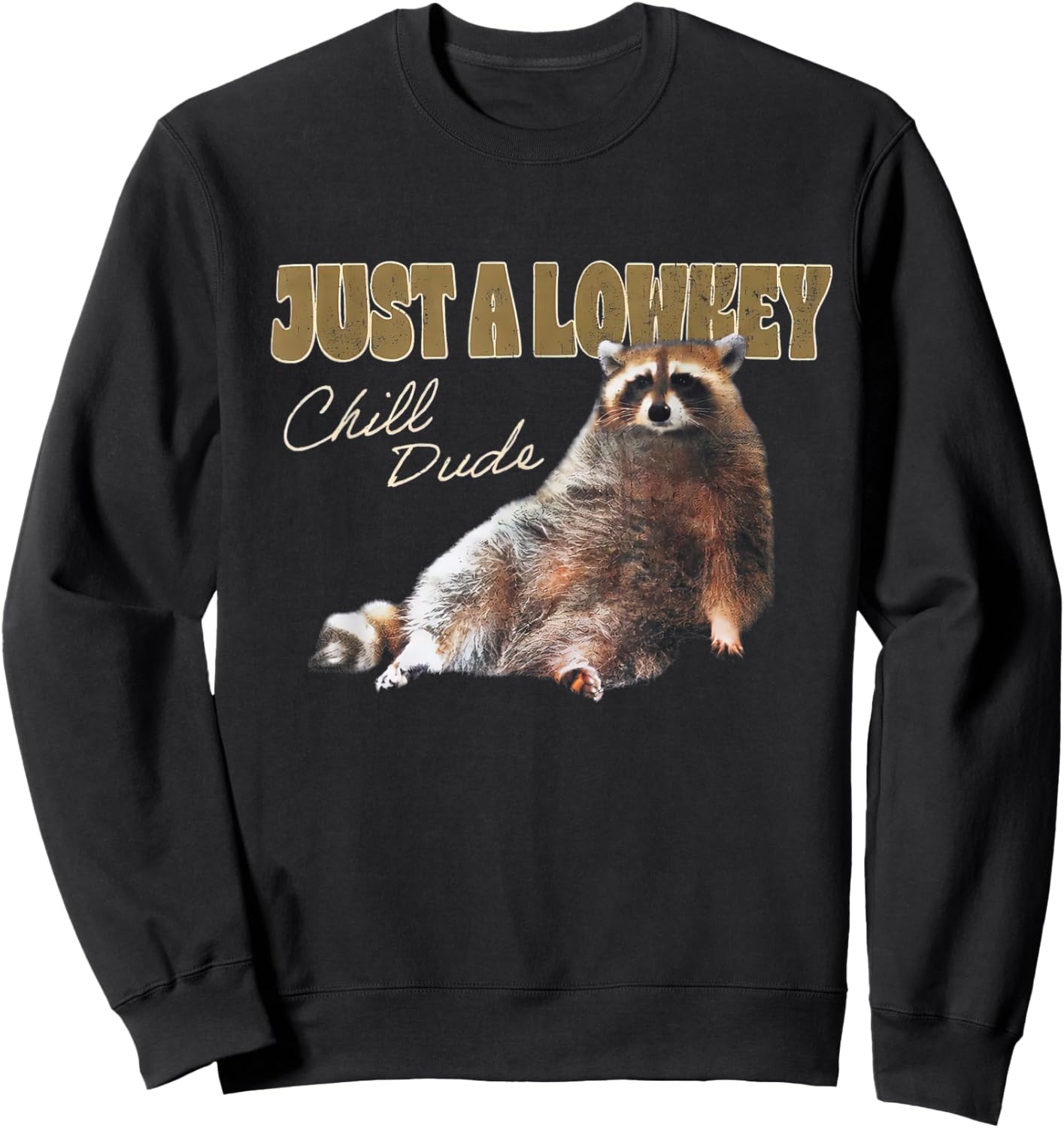 Just A Lowkey Chill Dude Cute Raccoon Funny Meme Sweatshirt - Sweatshirt | Black