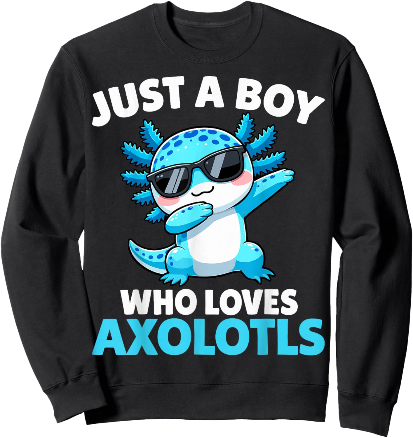Just A Boy Who Loves Axolotls Sweatshirt - Sweatshirt | Black