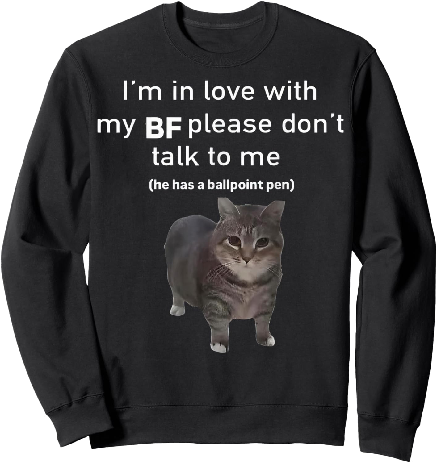 I'm in Love with My BF Please Dont Talk to Me Funny Cat Sweatshirt - Sweatshirt | Black