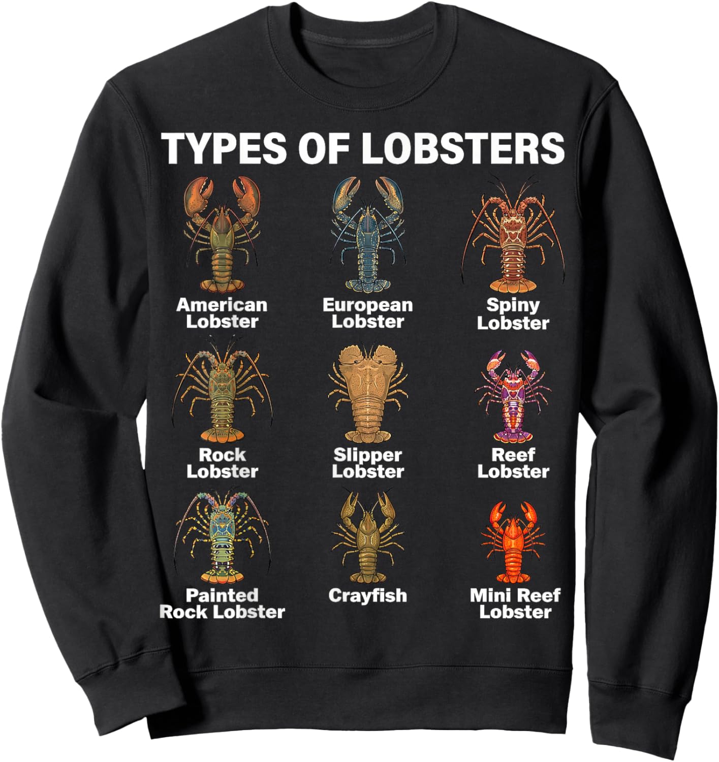 Types of Lobsters, Lobster Species Chart Sweatshirt - Sweatshirt | Black