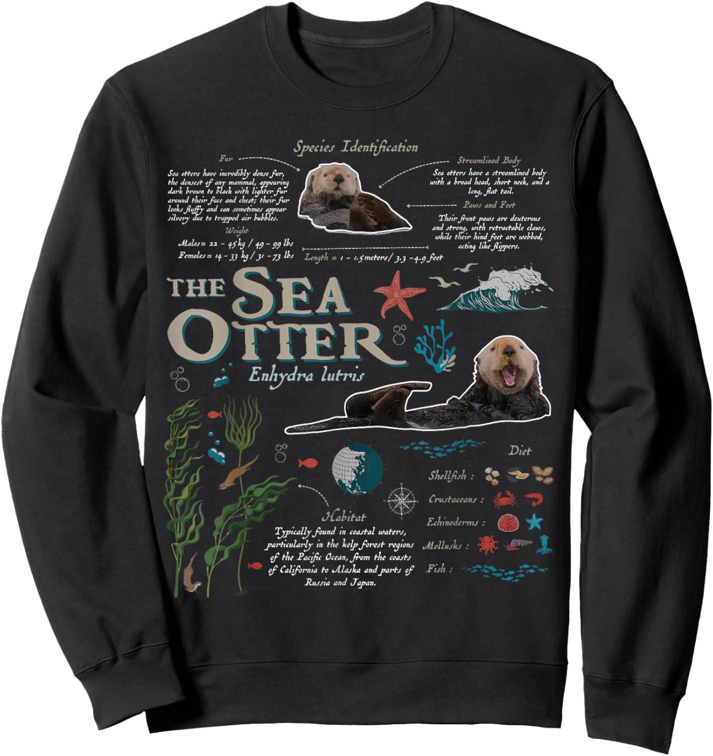 Sea Otter Marine Biology Nature Lover Outdoor Sweatshirt - Sweatshirt | Black