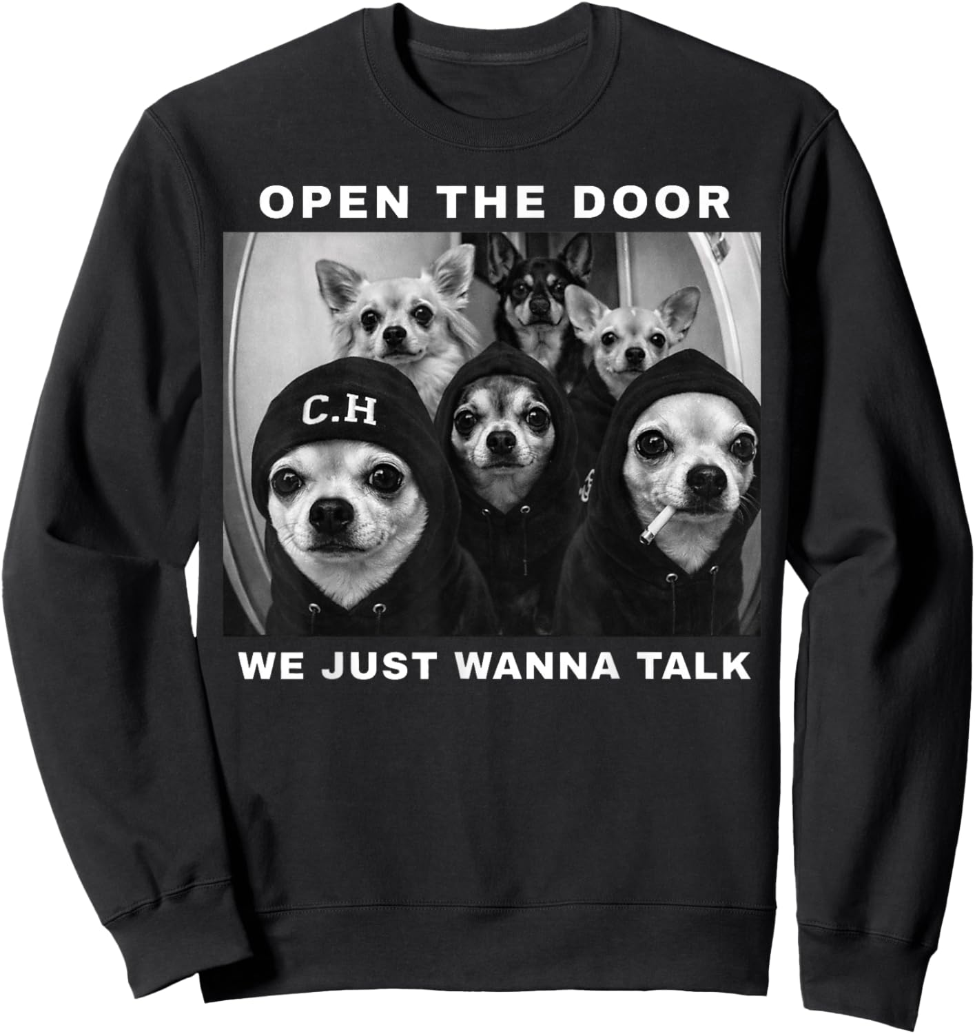 Open The Door We Just Wanna Talk Funny Chihuahua Dog Meme Sweatshirt - Sweatshirt | Black