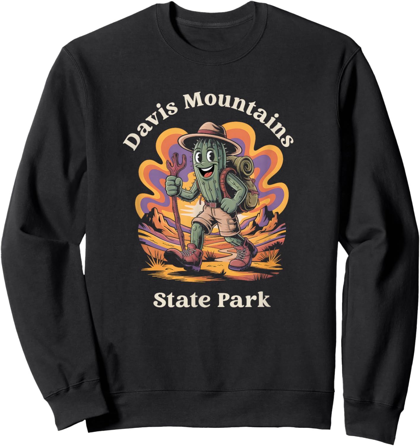 Retro Groovy Davis Mountains State Park Texas Hiking Cactus Sweatshirt - Sweatshirt | Black