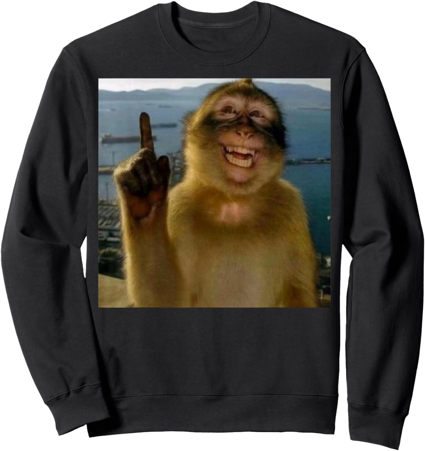 Funny Smiling Monkey Meme Curious Ape Brainrot Gift Sweatshirt - Sweatshirt | Black