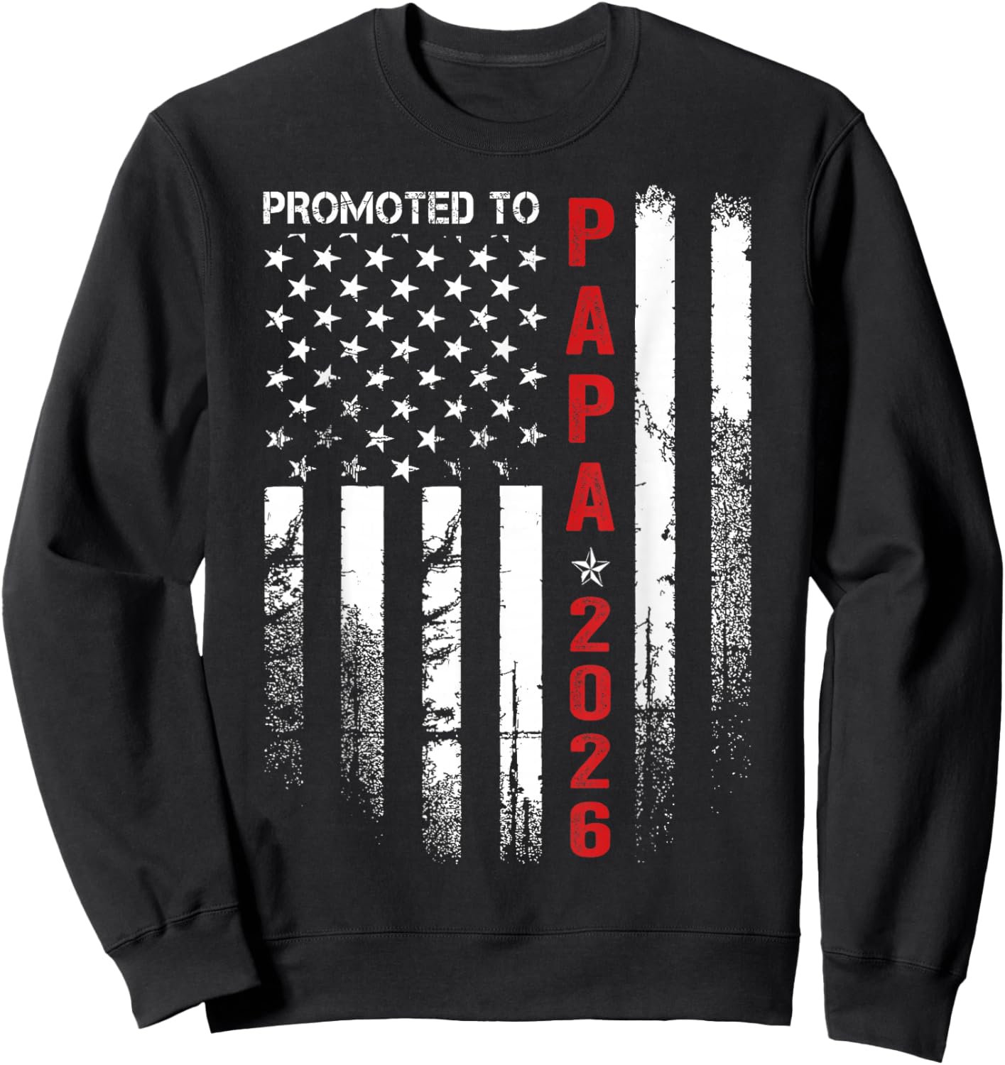 Patriotic Promoted to Papa Est 2026 First Time Dad Sweatshirt - Sweatshirt | Black