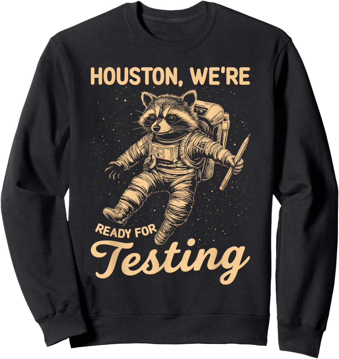 State Testing Teacher Life Funny Racoon Teacher Test Day Sweatshirt - Sweatshirt | Black