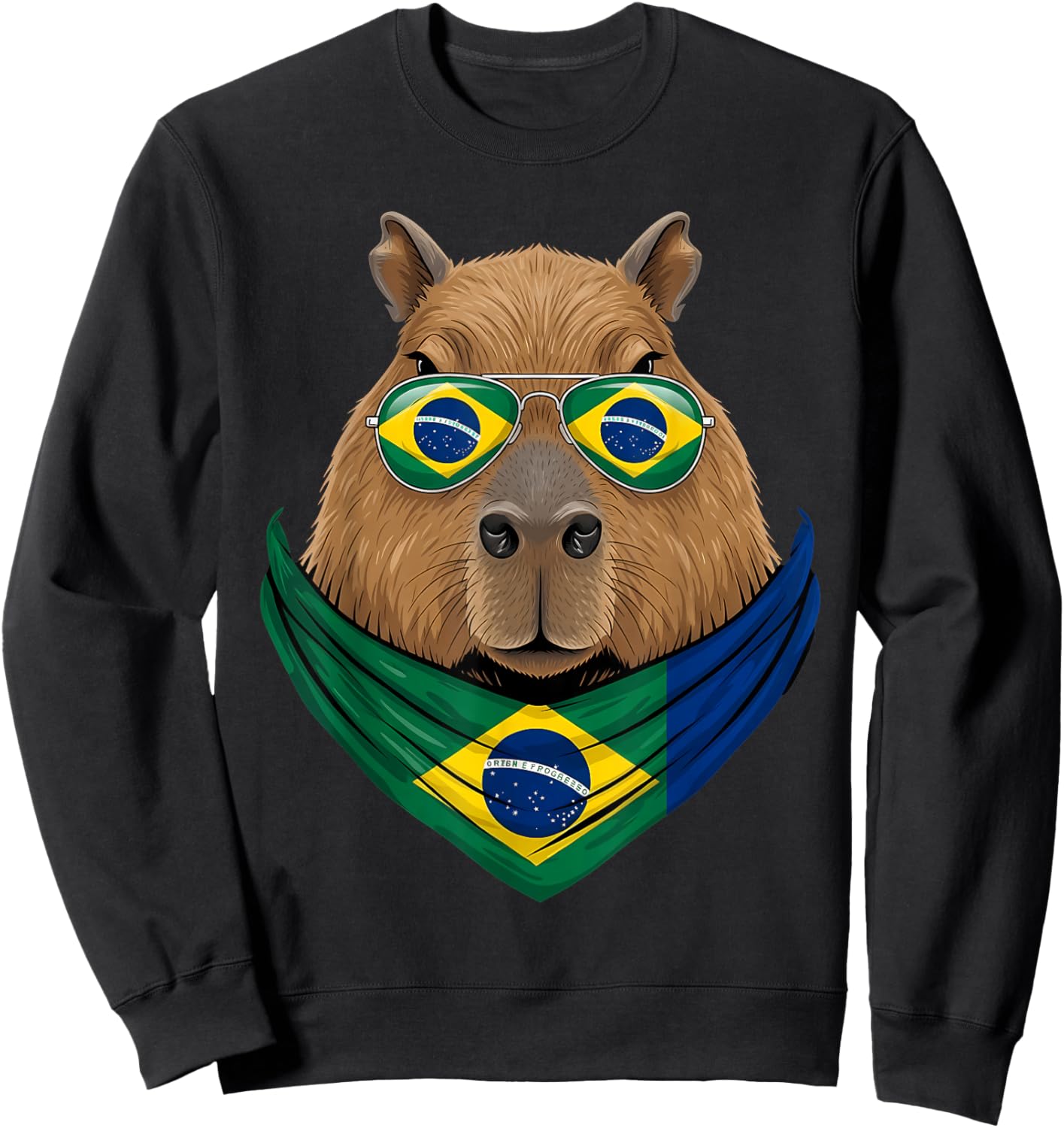 Brasil Flag Capybara Brazilian Pride Brasilian Roots Brazil Sweatshirt - Sweatshirt | Black