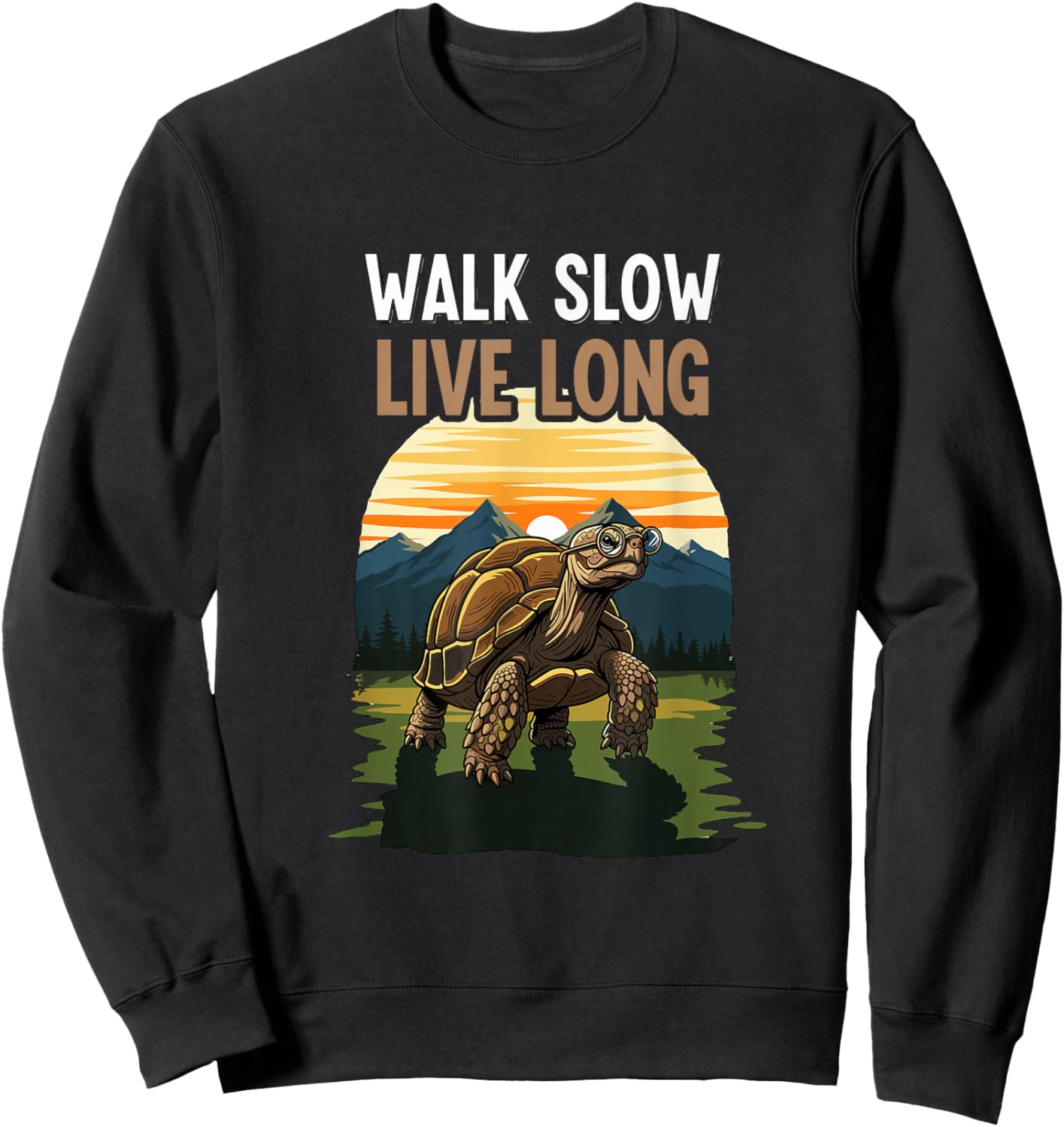Walk Slow Live Long Tortoise Turtle Nature Outdoor Lover Sweatshirt - Sweatshirt | Black