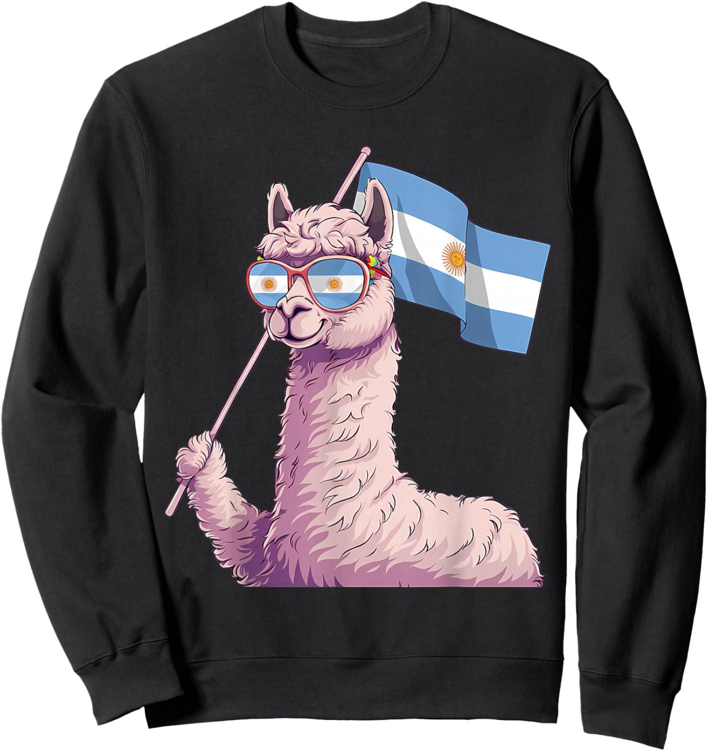 Argentina Pride Argentinian Flag Sweatshirt - Sweatshirt | Black
