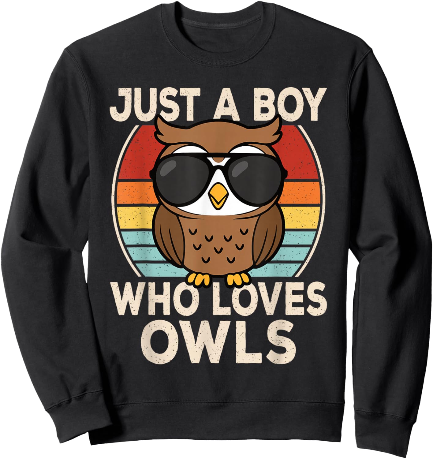 Just A Boy Who Loves Owls Owl Lover Boys Kids Sweatshirt - Sweatshirt | Black