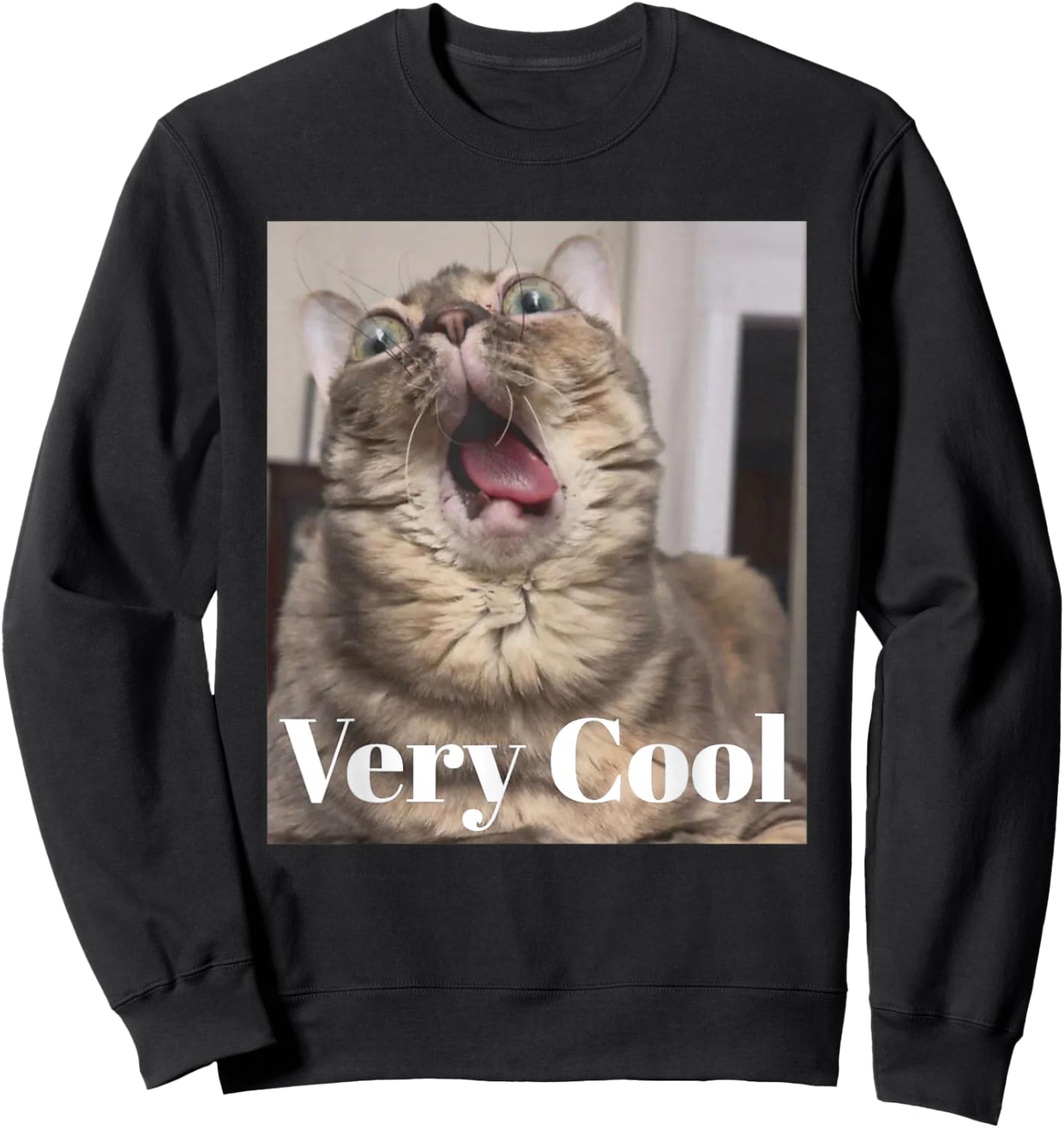 Gumbus Very Cool Funny Brainrot Cat Dank Meme Gen Z Sweatshirt - Sweatshirt | Black