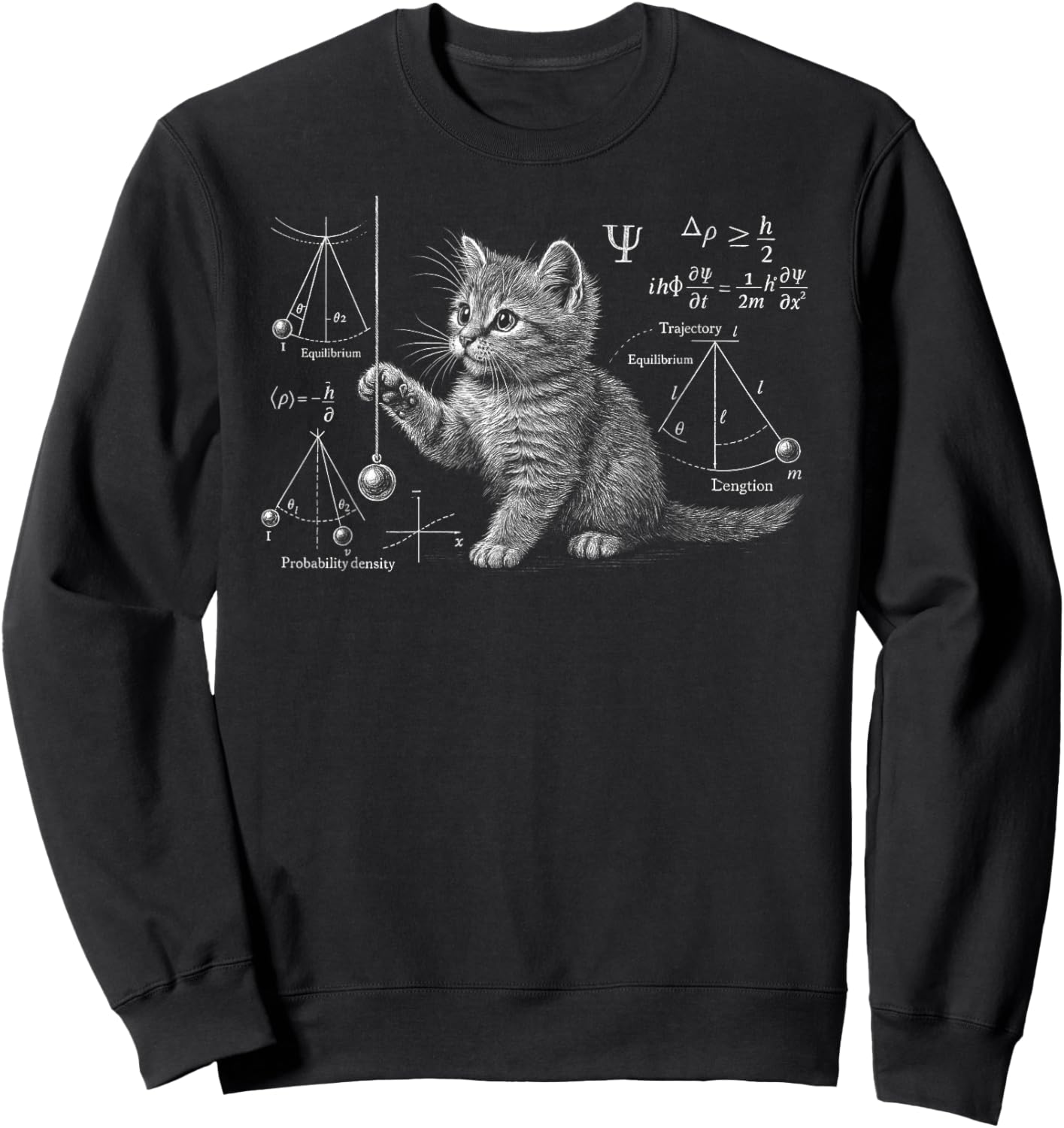 Funny Cat Math Physics Equations Science Humor Sweatshirt - Sweatshirt | Black