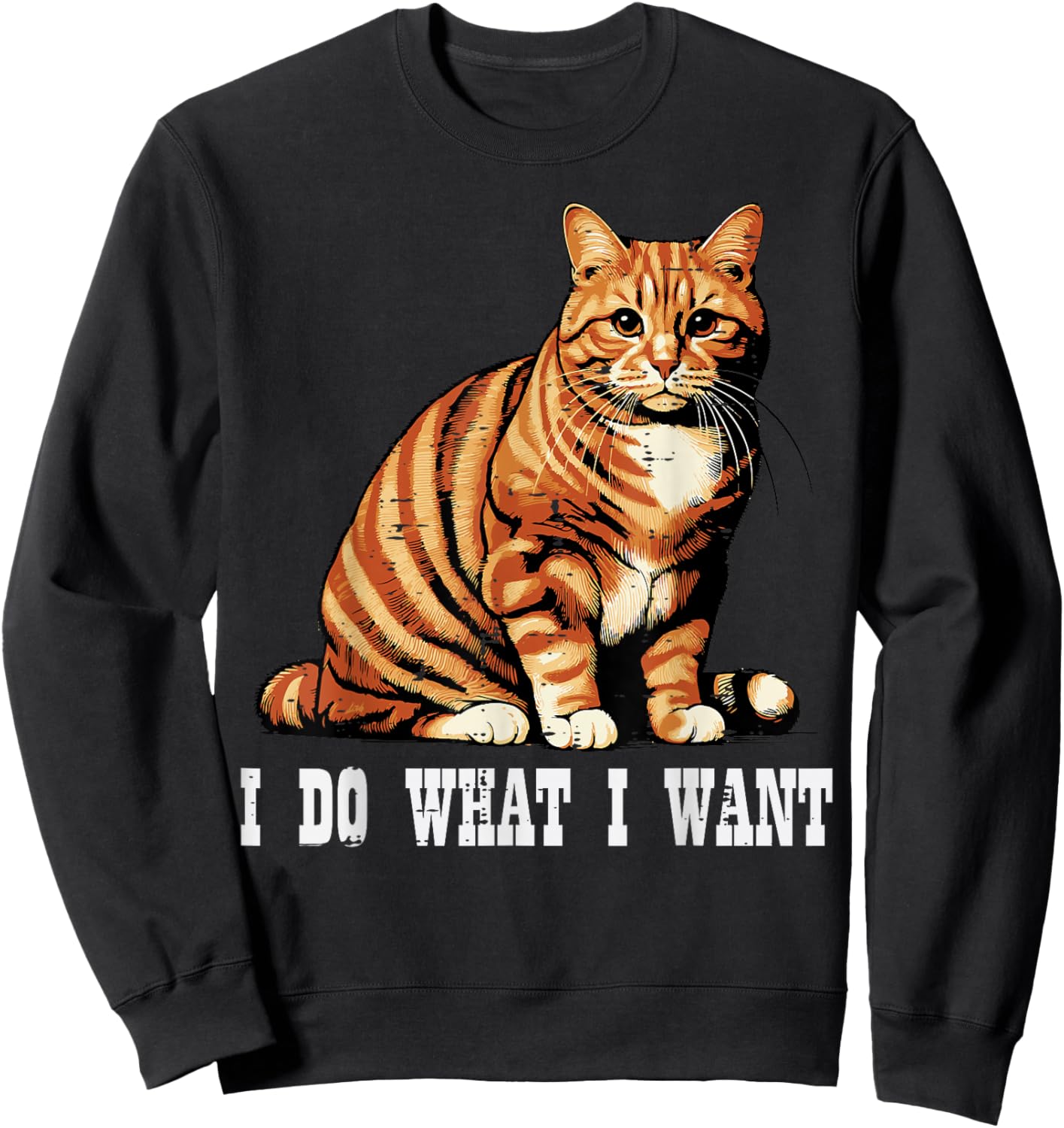 Cat I Do What I Want Funny Kitten Sarcastic Men Women Kids Sweatshirt - Sweatshirt | Black