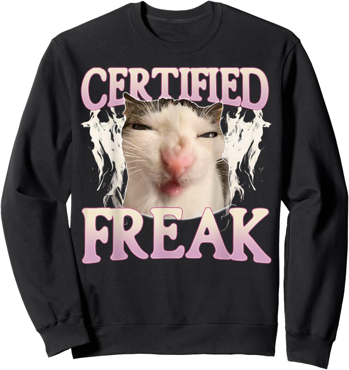 Certified Freak Eat Cement Funny Cat Meme Vintage Humor Cat Sweatshirt - Sweatshirt | Black