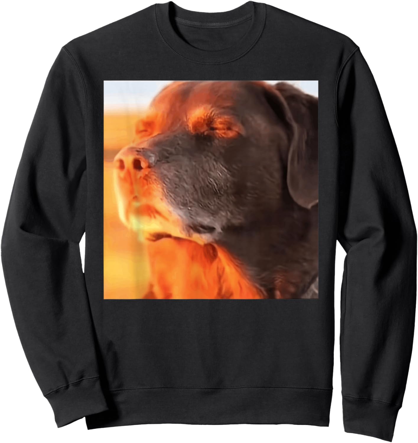 Dog in The Sunset Meme Sweatshirt - Sweatshirt | Black