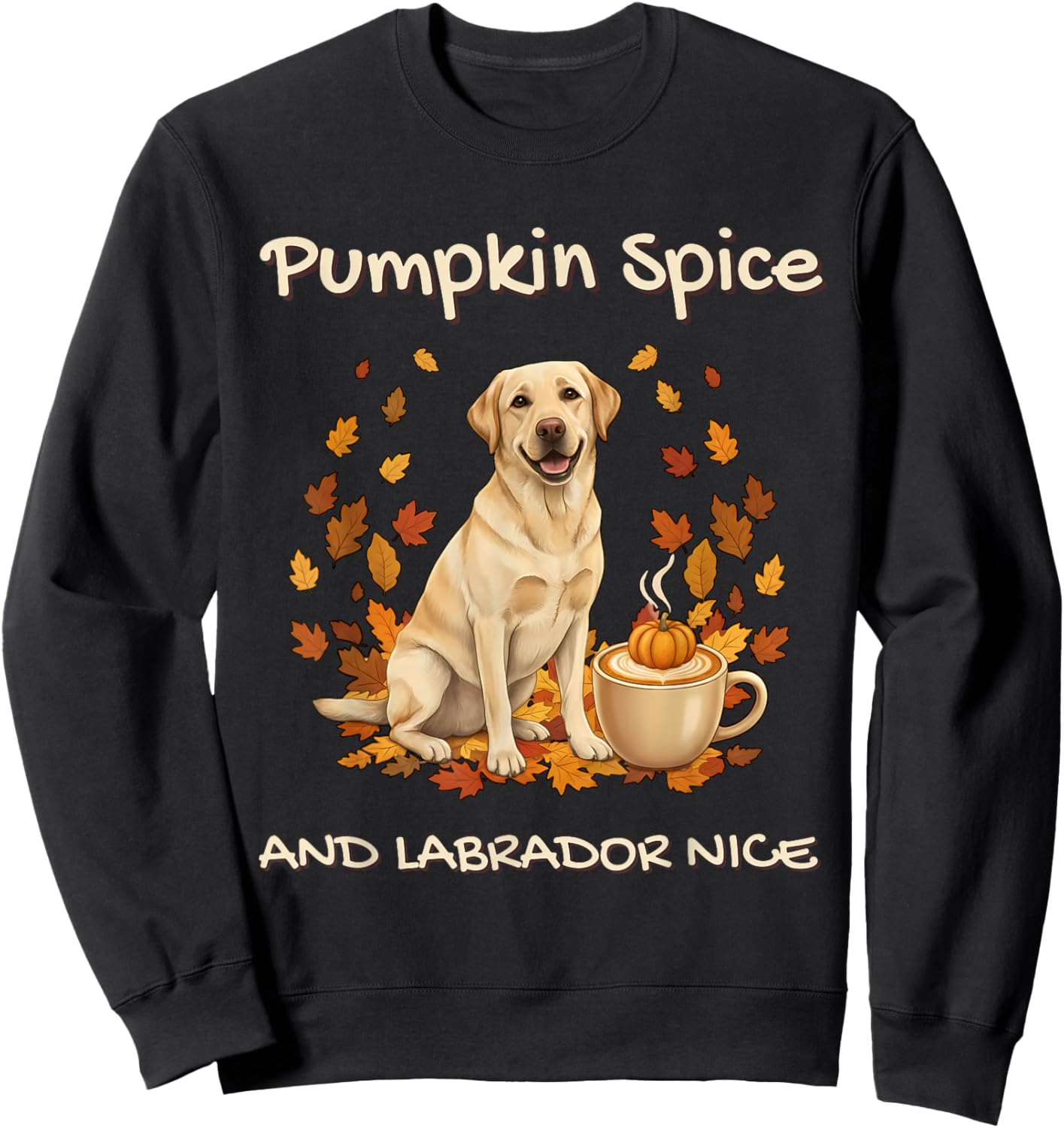 Pumpkin Spice and Labrador Nice Funny Dog Mom Cozy Fall Sweatshirt - Sweatshirt | Black