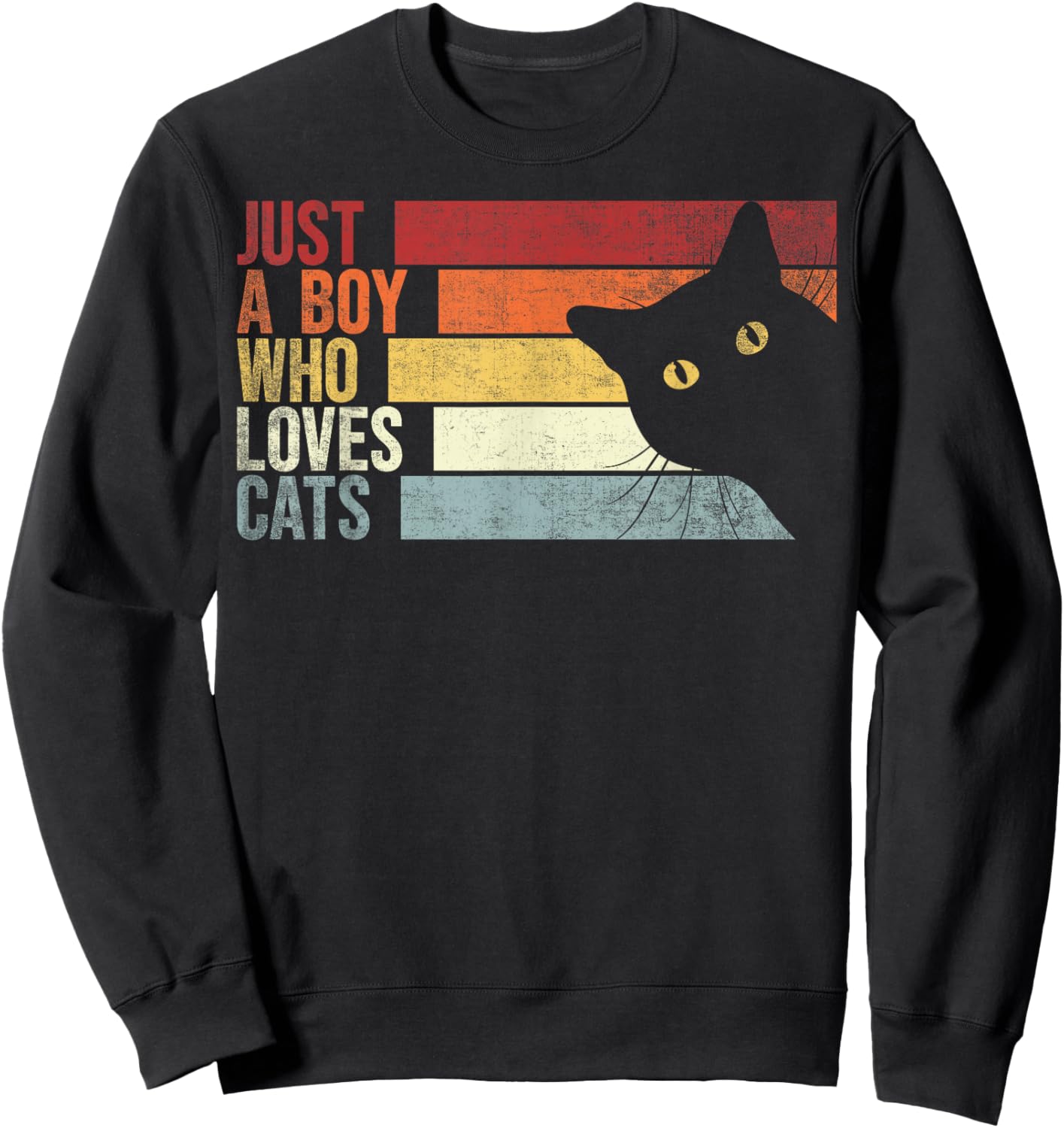 Just A Boy Who Loves Cats. Funny Cats Lover Sweatshirt - Sweatshirt | Black
