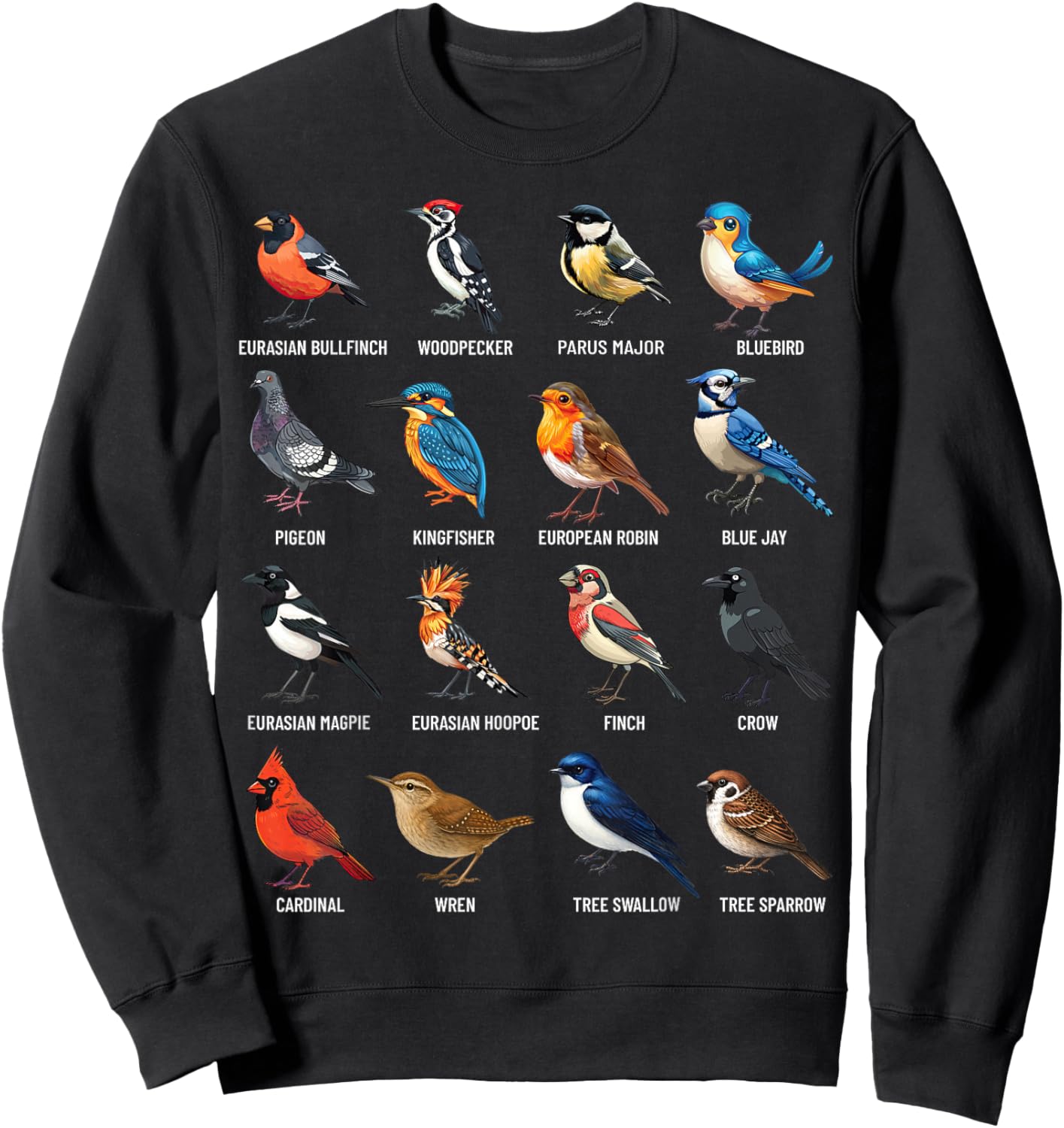 Garden Birds Ornithology Nature Educational Boys Girls Kids Sweatshirt - Sweatshirt | Black