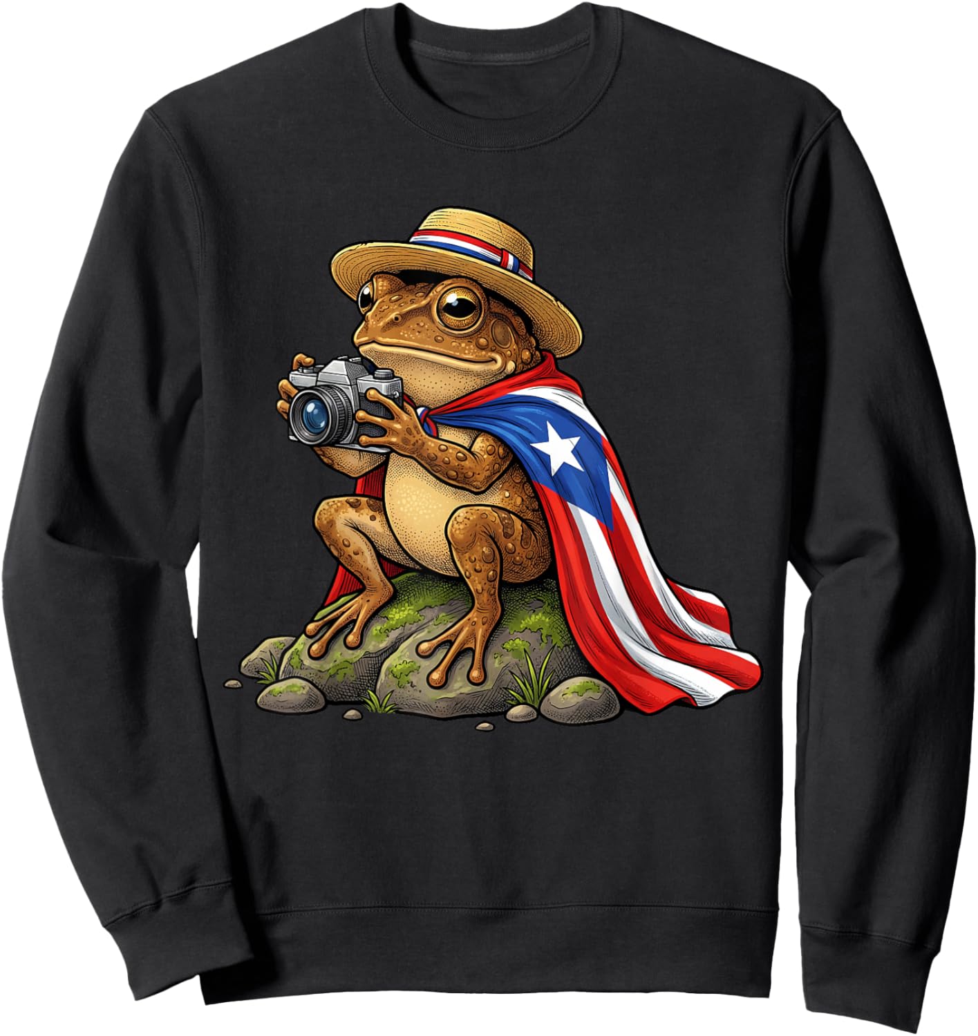 Funny Coqui Frog Puerto Rico Boricua Hispanic Culture Sweatshirt - Sweatshirt | Black