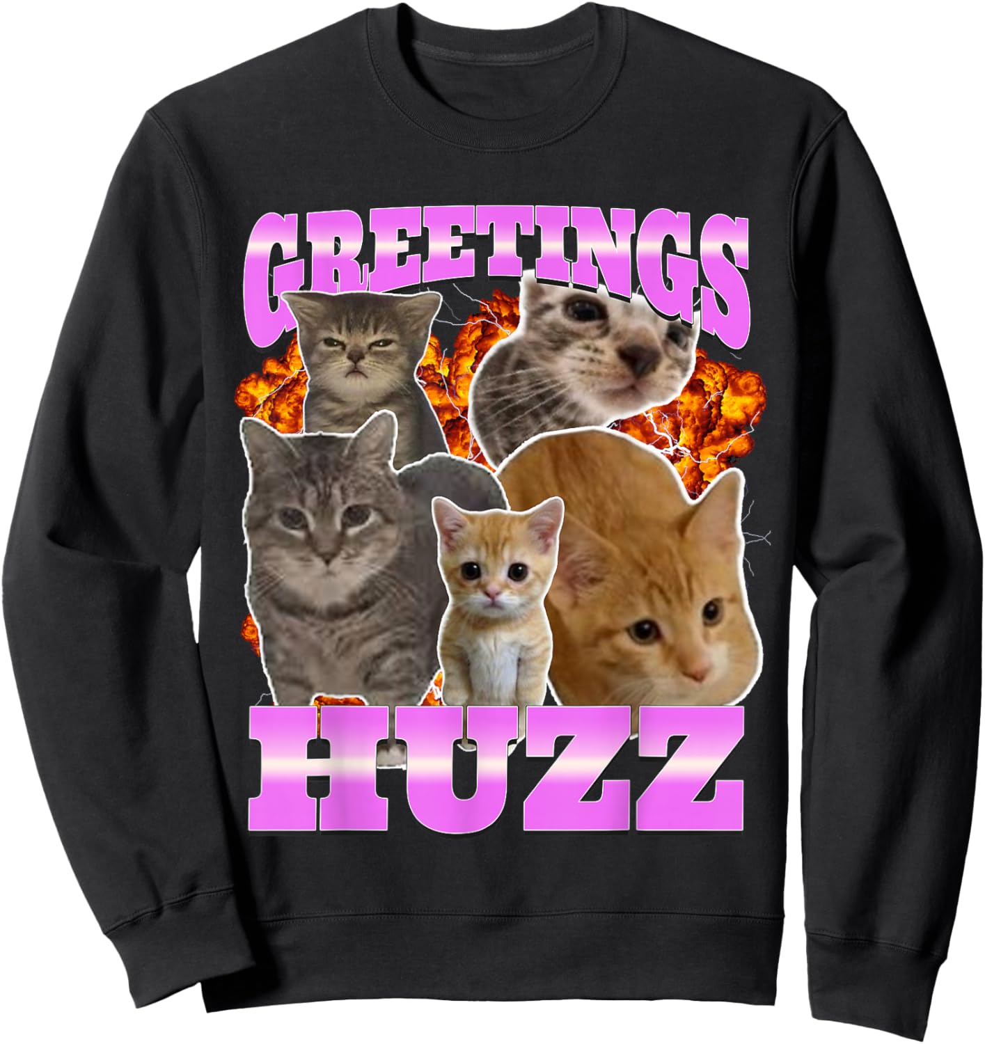 Greetings Huzz Cat Meme Funny Bootleg Graphic Sweatshirt - Sweatshirt | Black