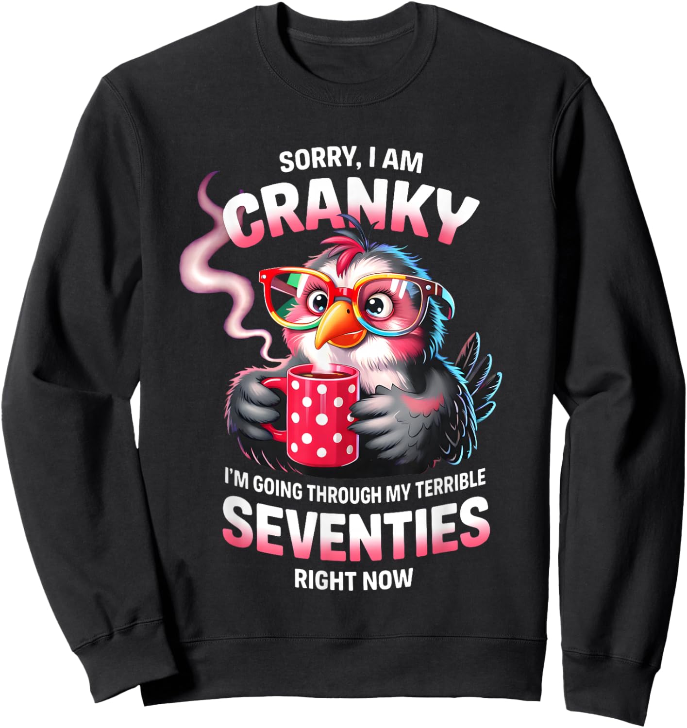 Owl Sorry I Am Cranky I'm Going Through My Terrible Seventie Sweatshirt - Sweatshirt | Black