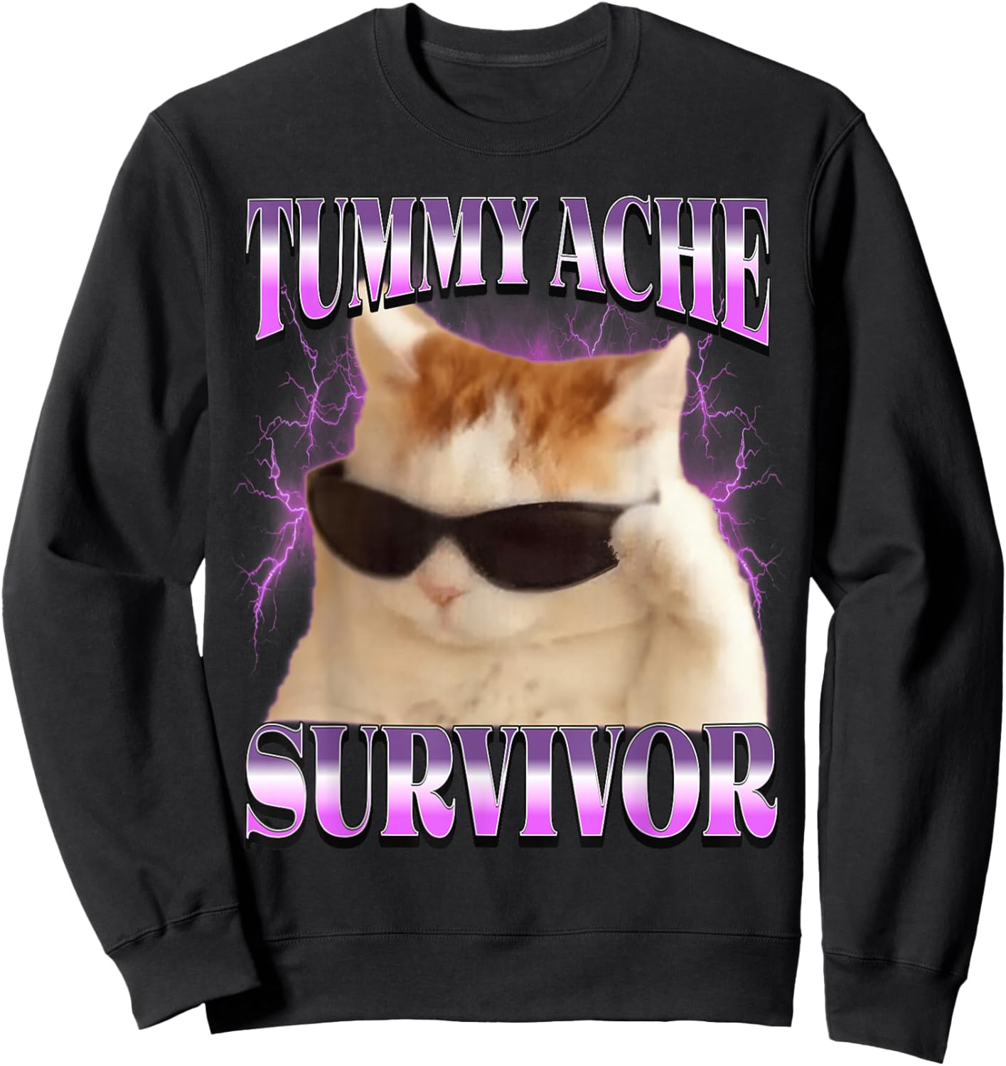 I Survived Today's Tummy Ache Cat Meme Funny Cats Sweatshirt - Sweatshirt | Black